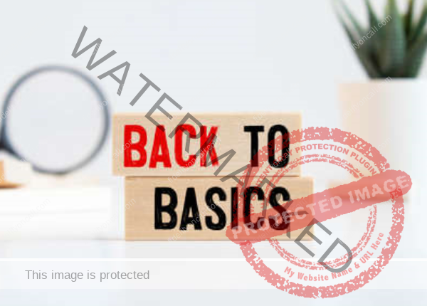 Two blocks with the words: Back to Basics