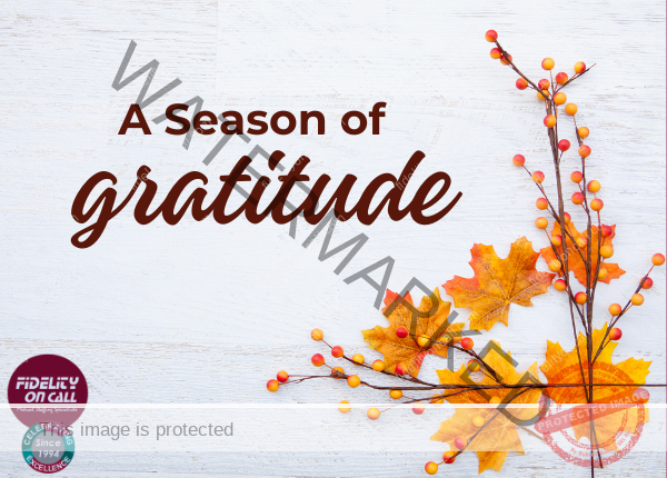 A Season of Gratitude